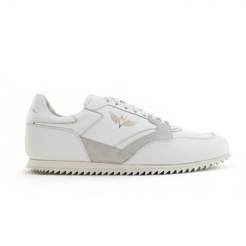 MV 4000/337 White